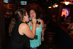 WILD WINGS 2013